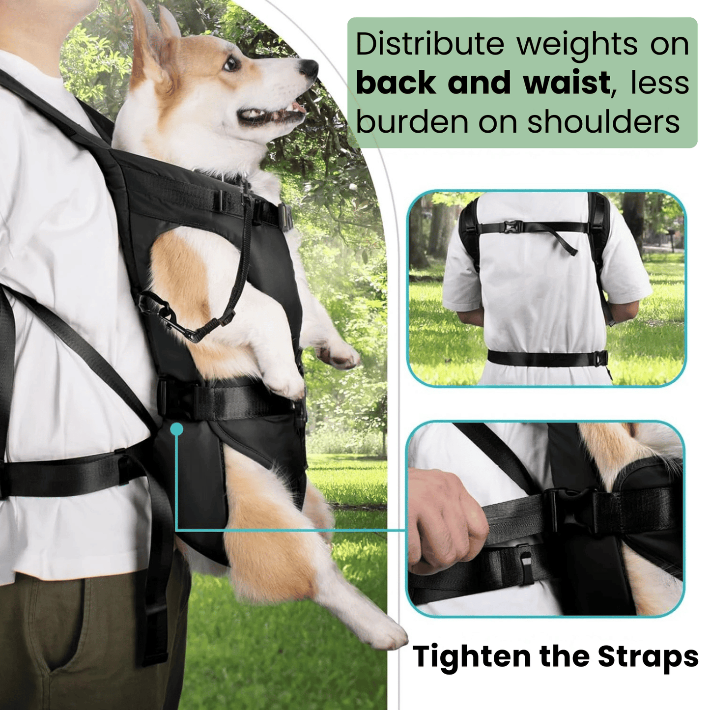 PetTravel Pro Hondendraagzak – Ademende Handsfree Reistassen voor Kat & Hond