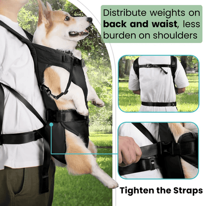 PetTravel Pro Hondendraagzak – Ademende Handsfree Reistassen voor Kat & Hond