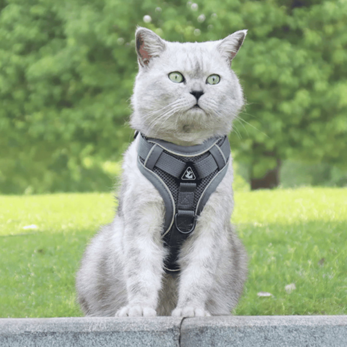 PawSecure Hondenharnas – Ontsnappingsproof Ademend Reflecterend Harnas Hond & Kat