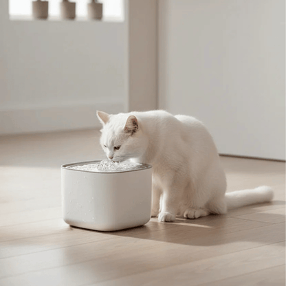 PawPure XL Drinkfontein Kat – 3L Stille Waterfontein met Sensor