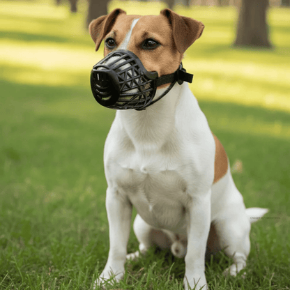 SafeBreathe Hondenmuilkorf – Verstelbare Ademende Muilkorf Hond Anti-Bijt