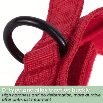 PawfectFit - Halsband Hond – Verstelbaar Nylon - Stevige Hondenhalsband