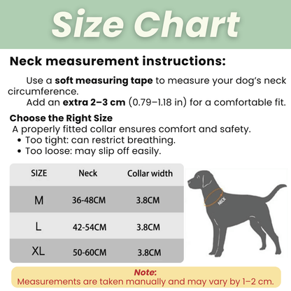 PawfectFit - Halsband Hond – Verstelbaar Nylon - Stevige Hondenhalsband