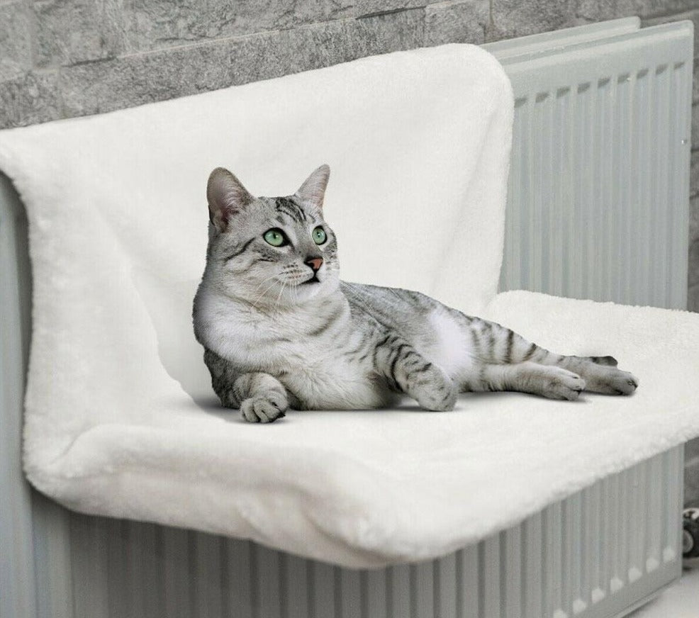 Kat Radiator Hangmat