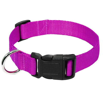 FlexiPaws - Halsband Hond en Kat Verstelbaar Nylon – Sterk & Comfortabel Voor Dagelijks Gebruik