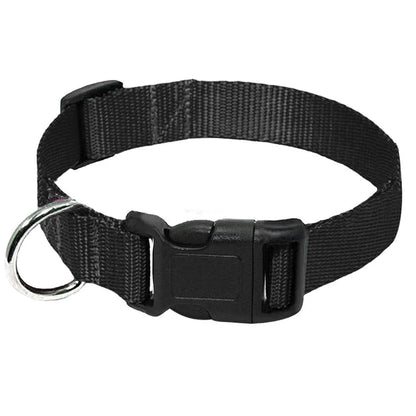 FlexiPaws - Halsband Hond en Kat Verstelbaar Nylon – Sterk & Comfortabel Voor Dagelijks Gebruik