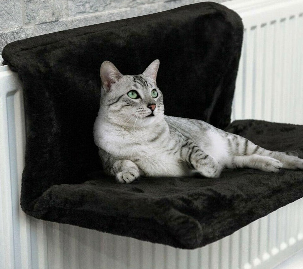 Kat Radiator Hangmat