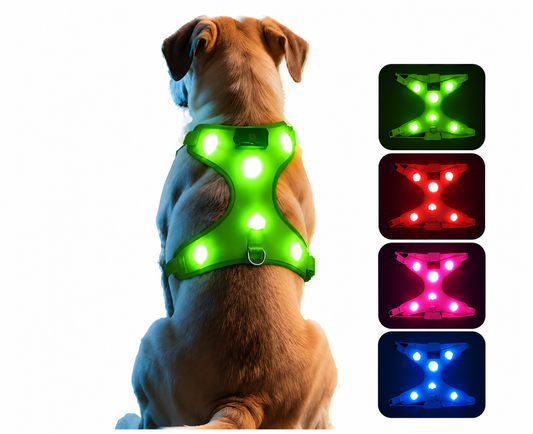 AniPets GlowLine