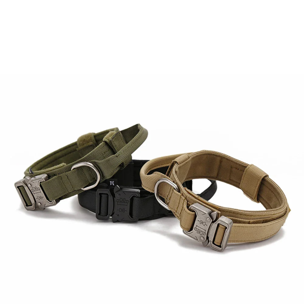 PawfectFit - Halsband Hond – Verstelbaar Nylon - Stevige Hondenhalsband