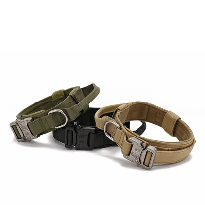PawfectFit - Halsband Hond – Verstelbaar Nylon - Stevige Hondenhalsband