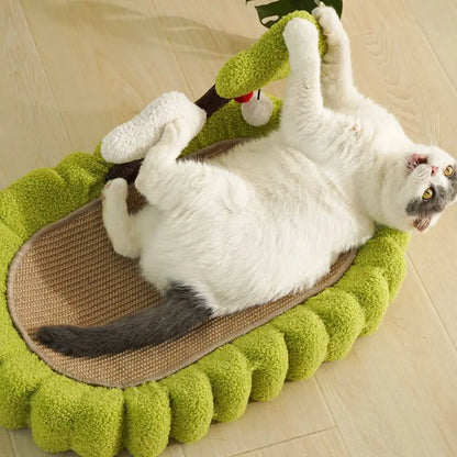 Katten Krabmand Speelmat