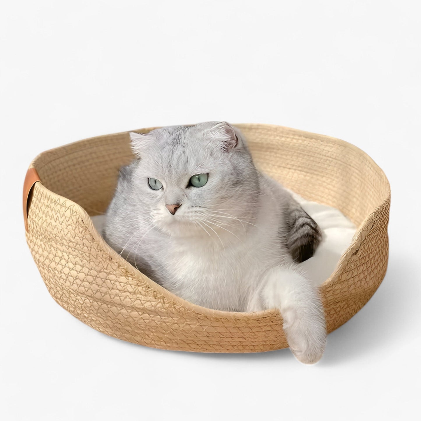 Luna Nest