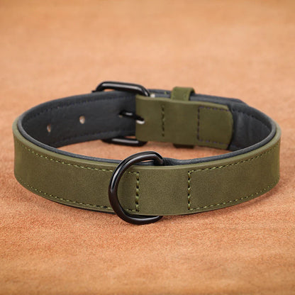 TrailGuard - Halsband Hond Leren Comfort – Verstelbare Halsband Voor Honden - Wandelen