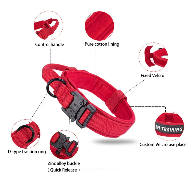 PawfectFit - Halsband Hond – Verstelbaar Nylon - Stevige Hondenhalsband