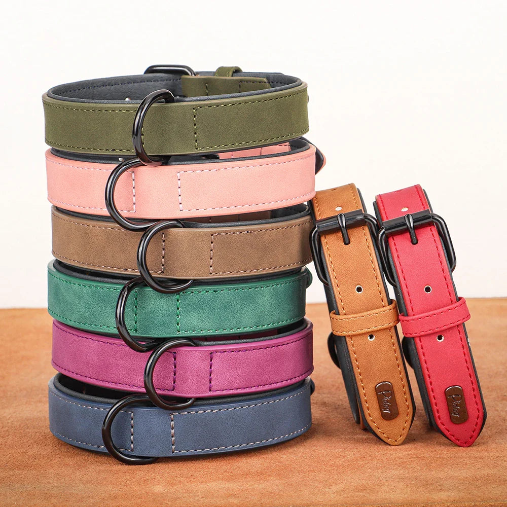 TrailGuard - Halsband Hond Leren Comfort – Verstelbare Halsband Voor Honden - Wandelen
