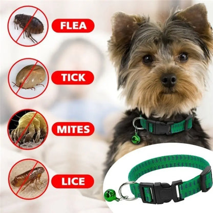 PetGuard Vlooienband Kat & Tekenband voor Honden – Nylon Anti-Vlooien Halsband – Groen of Rood