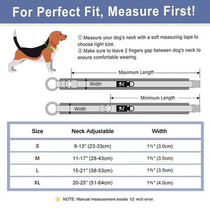 PawMate Hondenhalsband Verstelbaar – Nylon honden Halsband Sterk & Comfortabel voor Wandelingen