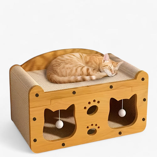 Whisker Wonders | 2-in-1 Kattenkrabber en Lounge Bed
