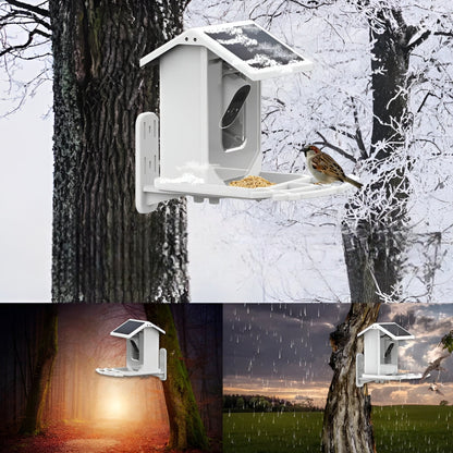 VicoBird Smart Feeder