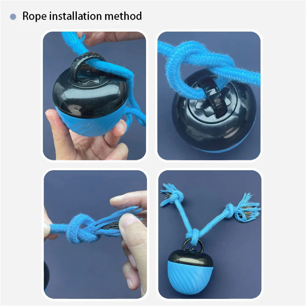 PlayMotion - Interactieve Hondenbal – Automatische Bewegende Speelbal met USB Opladen