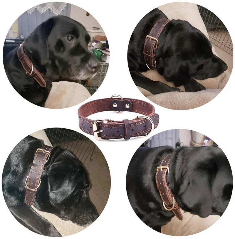 CozyCollar - Halsband Hond Verstelbaar Leer – Sterk & Comfortabel - Hondenhalsband Bruin, Zwart