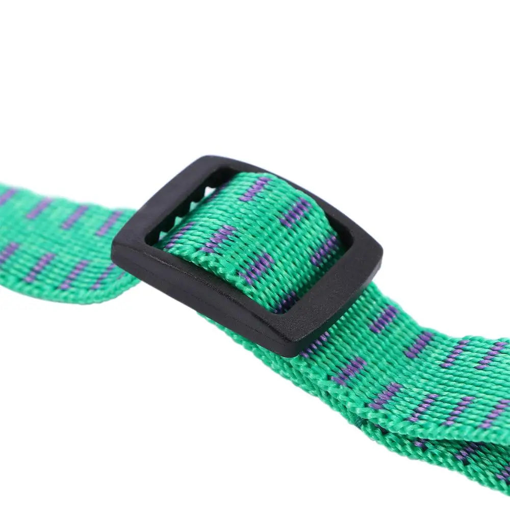 PetGuard Vlooienband Kat & Tekenband voor Honden – Nylon Anti-Vlooien Halsband – Groen of Rood