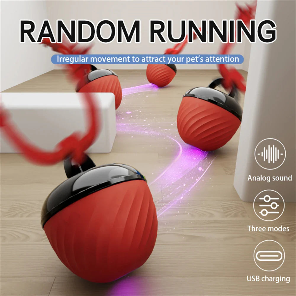 PlayMotion - Interactieve Hondenbal – Automatische Bewegende Speelbal met USB Opladen