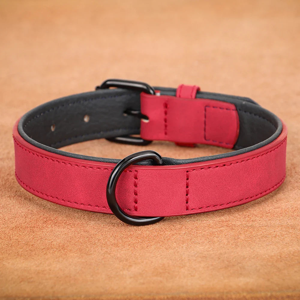 TrailGuard - Halsband Hond Leren Comfort – Verstelbare Halsband Voor Honden - Wandelen