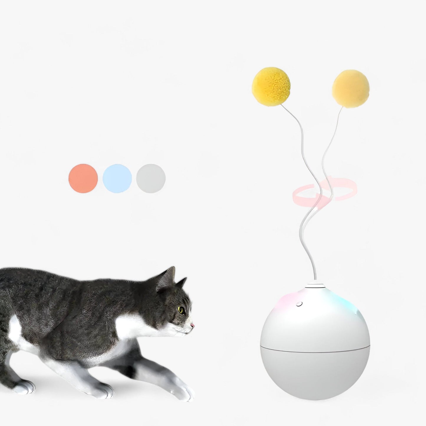 PurrBall