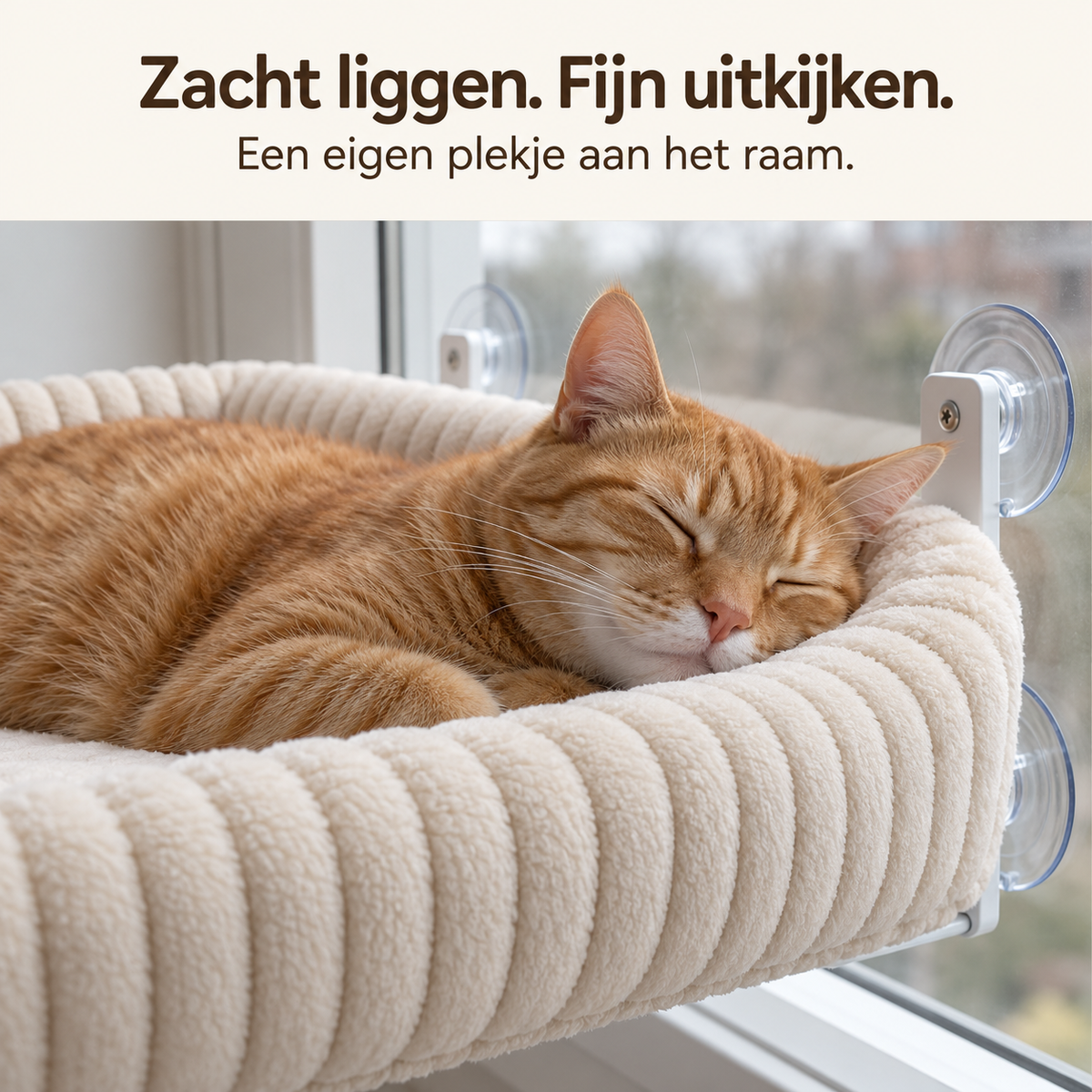 Slapende rode kat in het RaamNest raambed met zachte opstaande rand