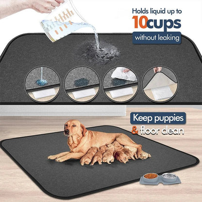 Hondenkussen Mat – Wasbare Antiplas Fleece | Comfort & Bescherming