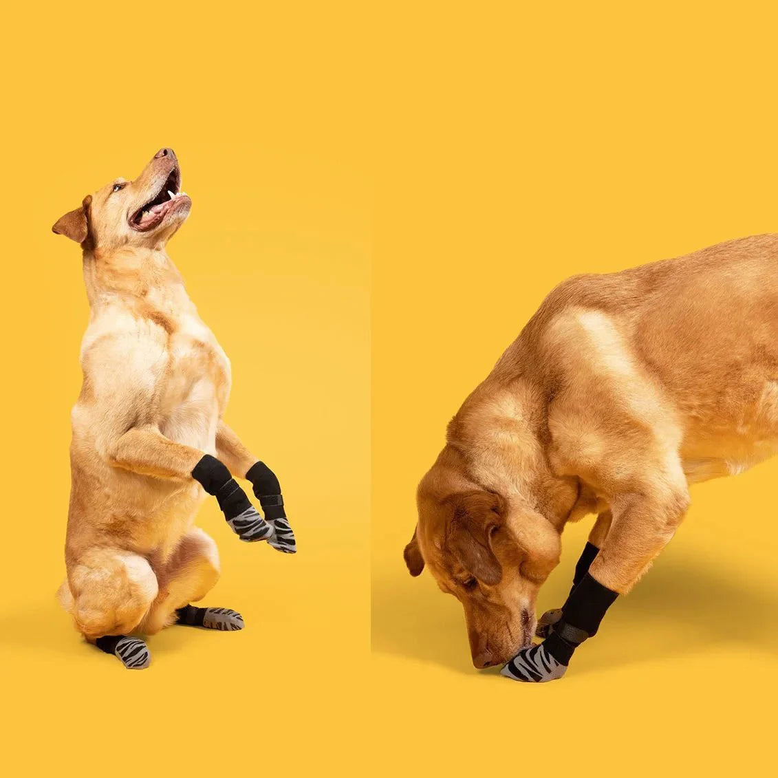 Anti-slip Hondensokken