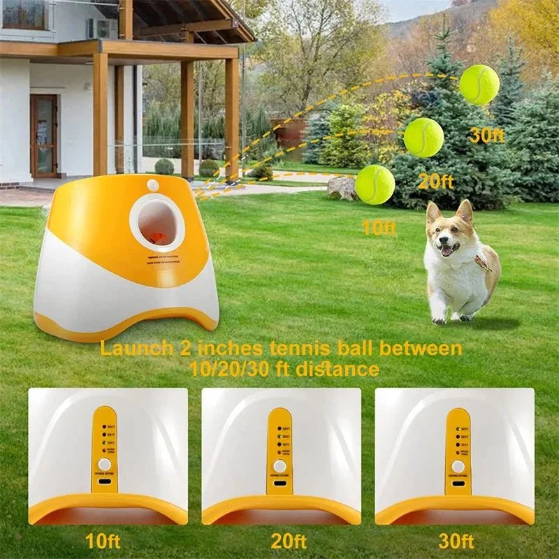 Automatische Tennisbal Launcher