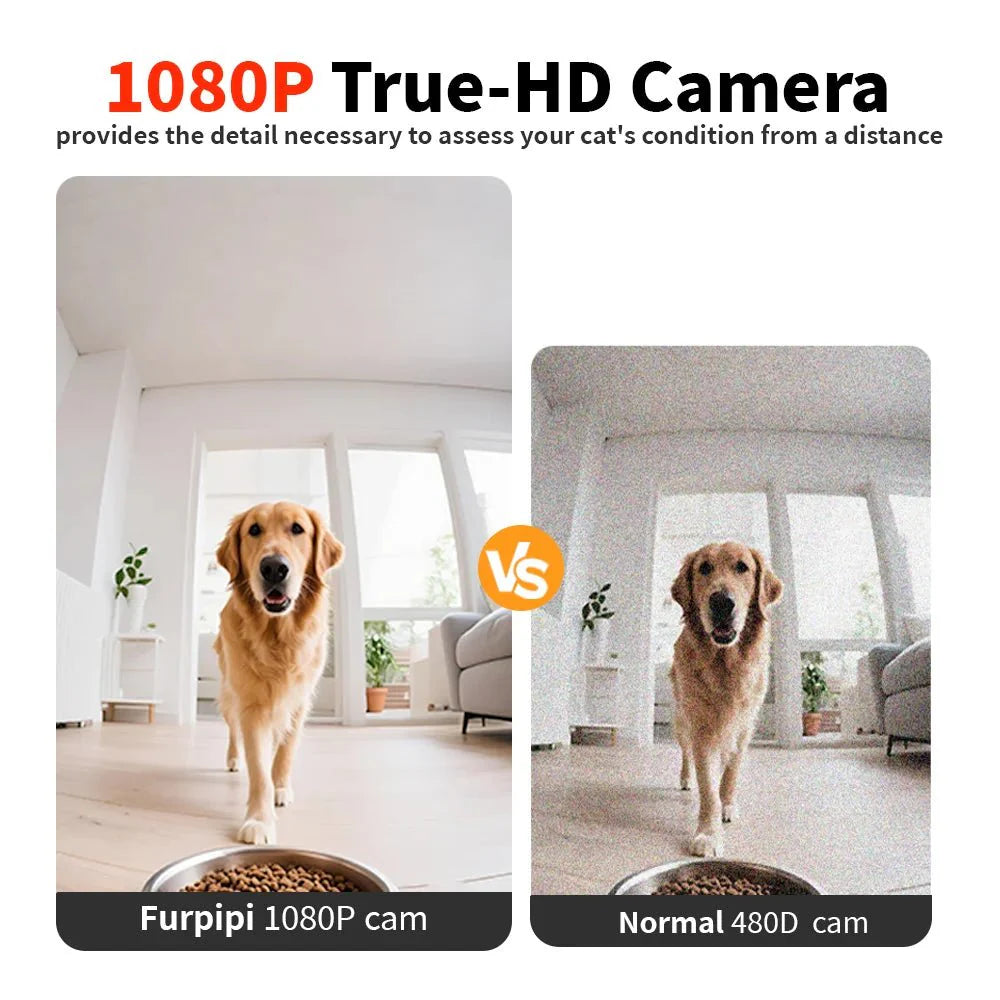 Automatische Voerbak Katten en Honden - Voerautomaat met Camera