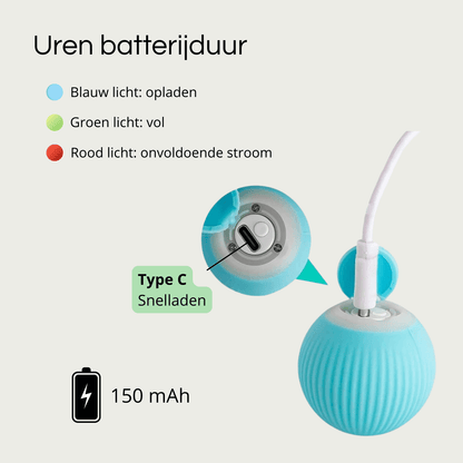 AutoPurr – Slimme Interactieve Kattenbal