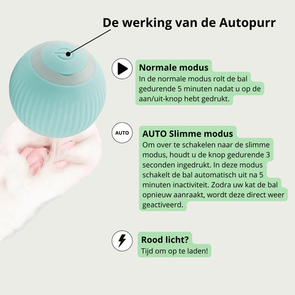 AutoPurr – Slimme Interactieve Kattenbal