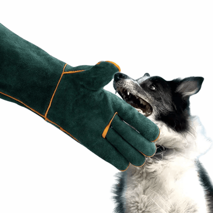 Bijtbestendige Huisdierhandschoenen