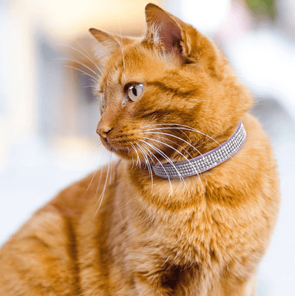 Bling Zachte Leren Halsband