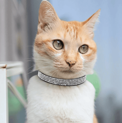 Bling Zachte Leren Halsband