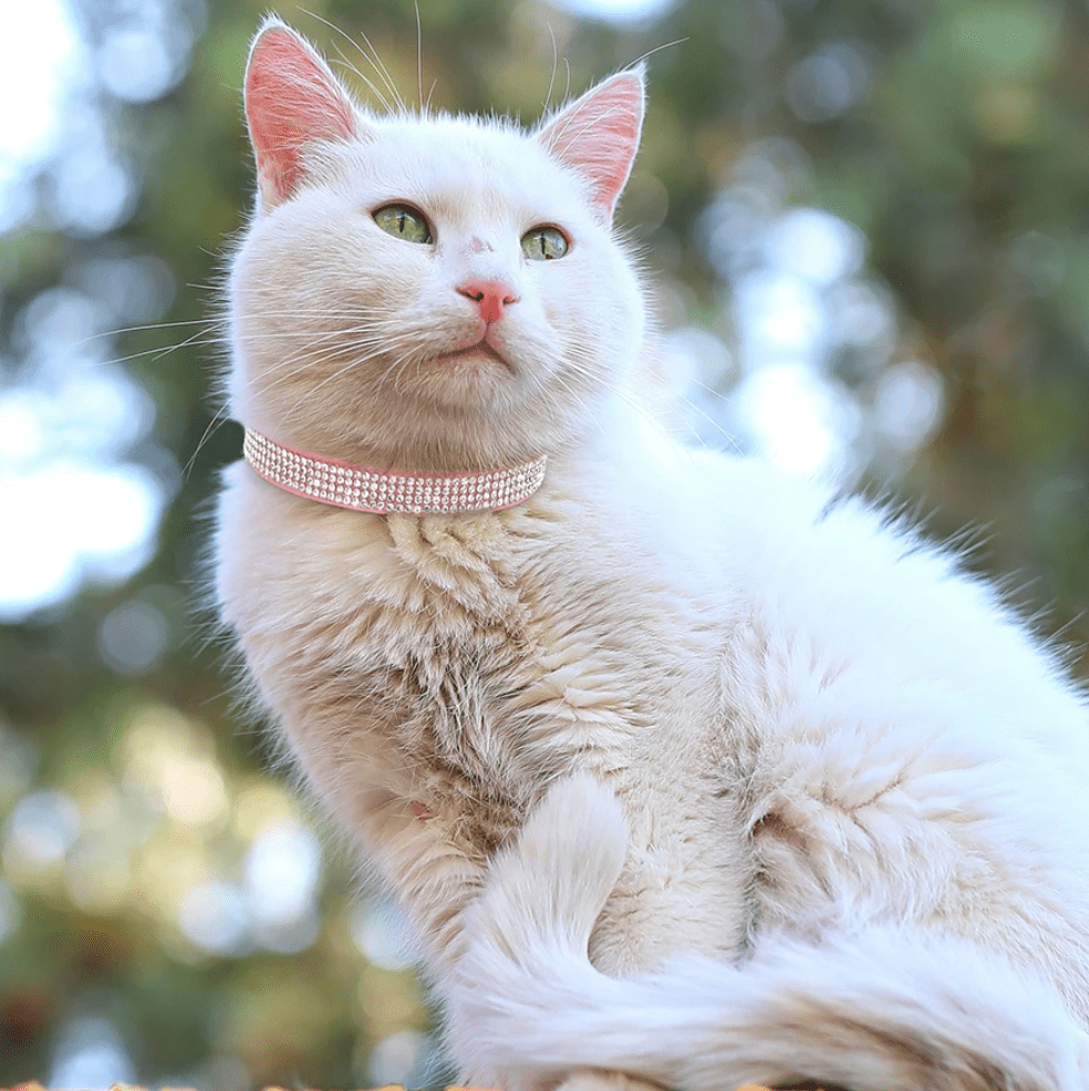 Bling Zachte Leren Halsband