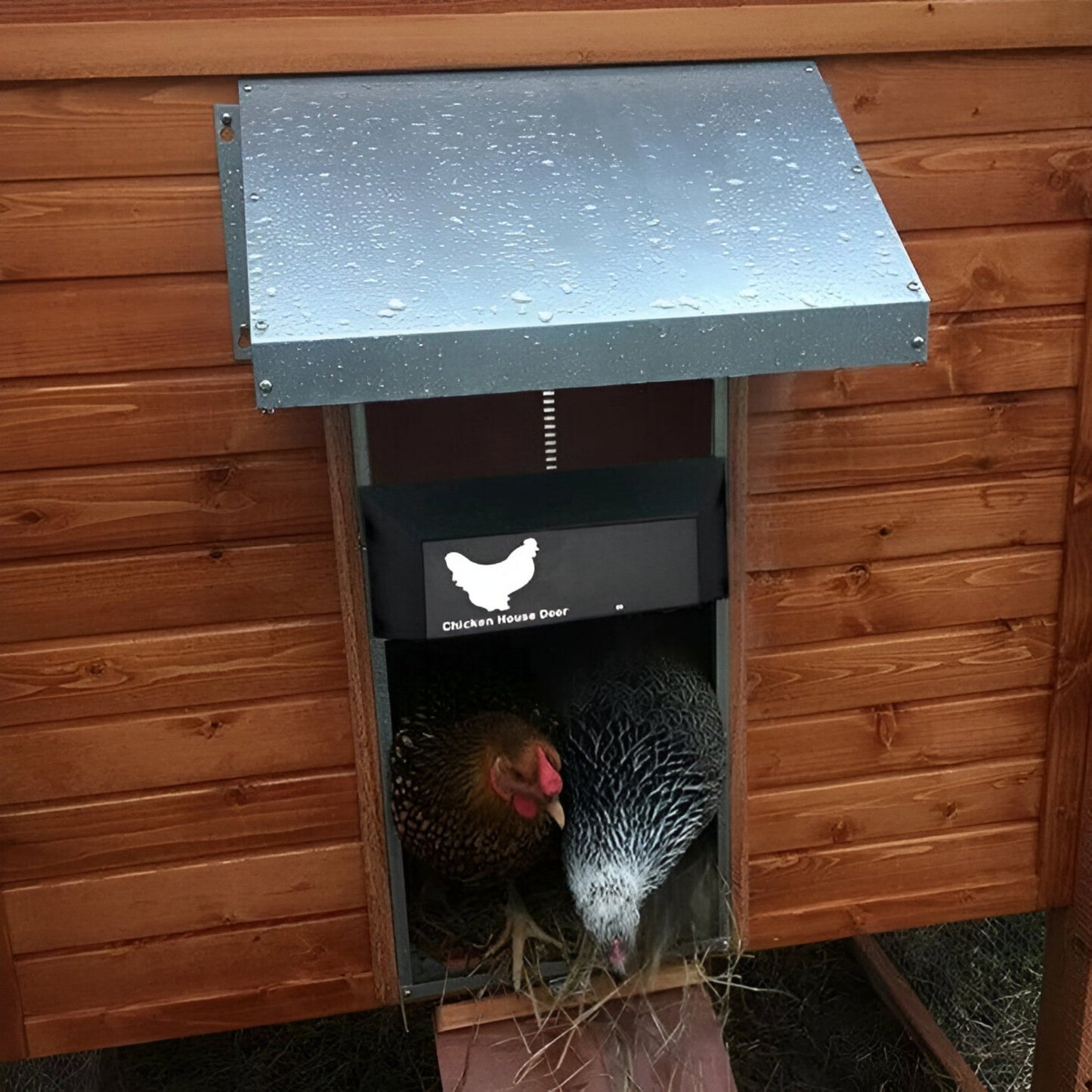 Pluimvee PRO+ | Automatische Kippenluik