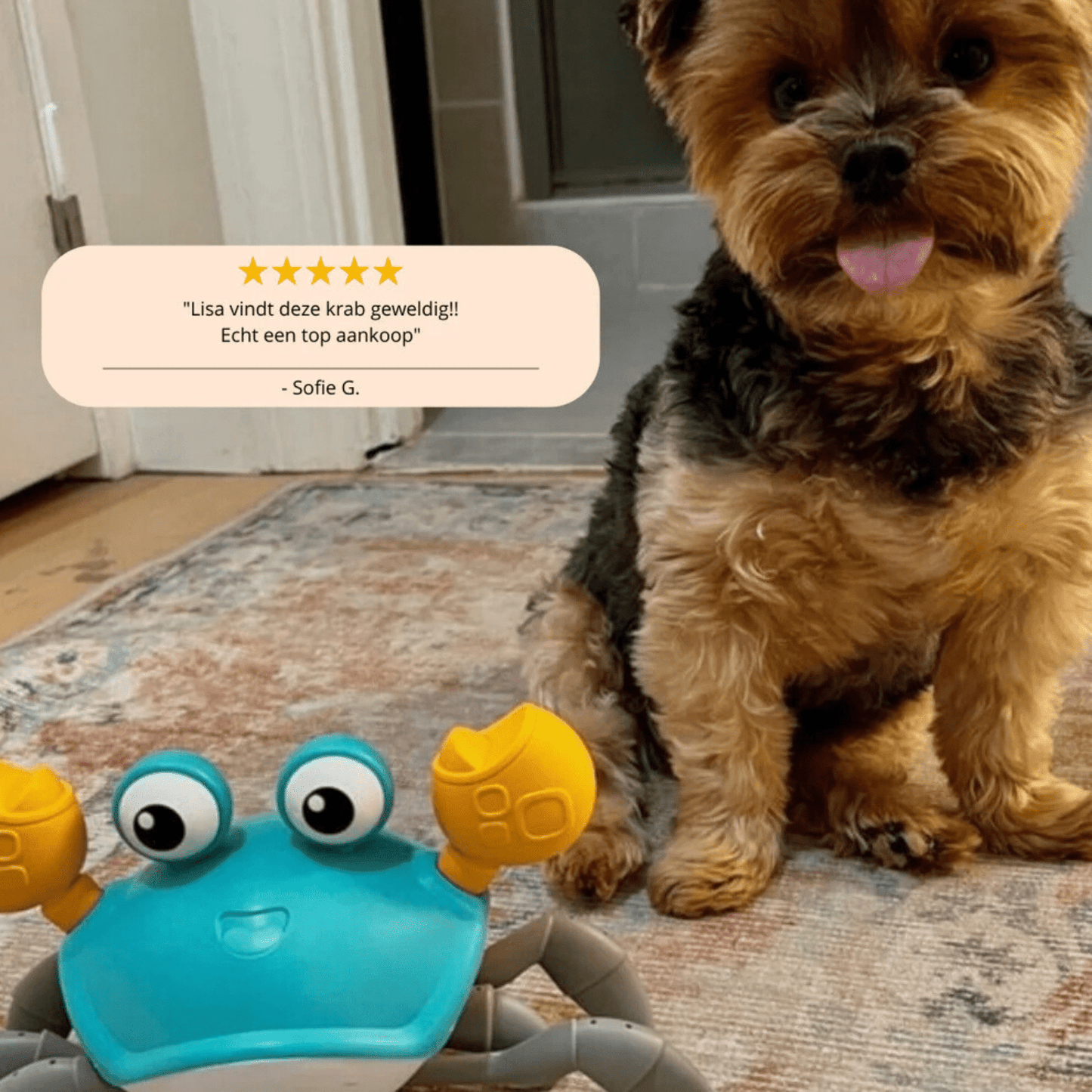 Crabwalk - Speelgoed voor Honden