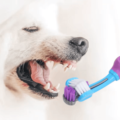 Driezijdige Tandenborstel voor Hond en Kat
