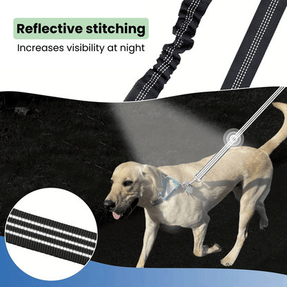 Dubbele Hondenriem- Schokabsorberend