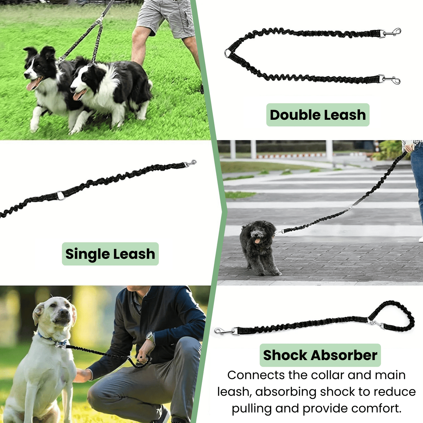 Dubbele Hondenriem- Schokabsorberend