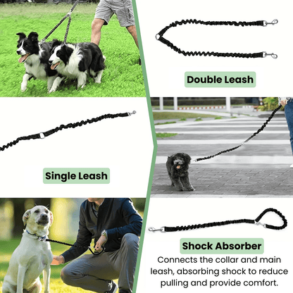 Dubbele Hondenriem- Schokabsorberend