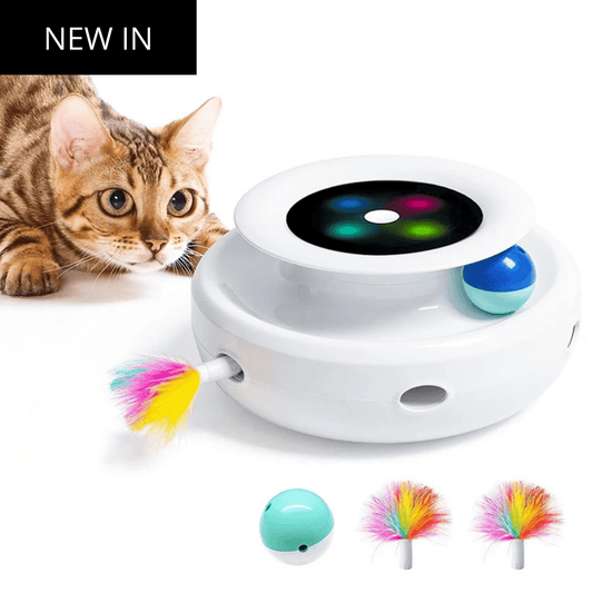 Elektronisch Speelgoed – Automatische Veer & Rollende Bal