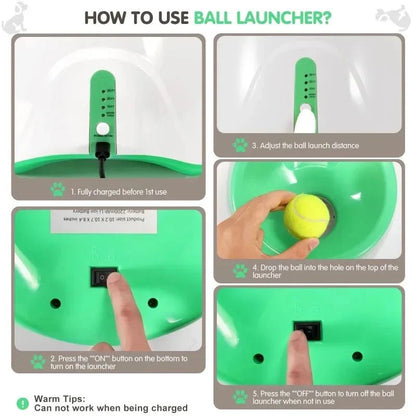 FetchMaster Pro - Automatische Bal Launcher