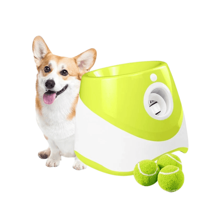 FetchMaster Pro - Automatische Bal Launcher