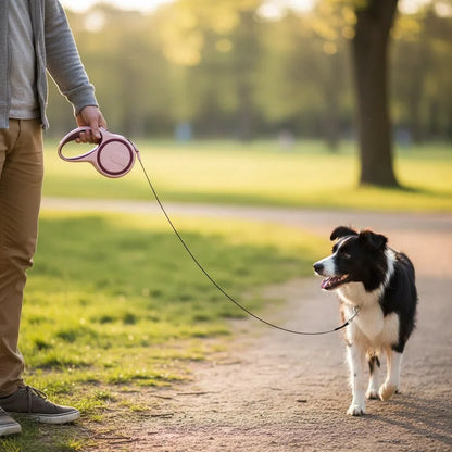FlexiWalk Uittrekbare Hondenriem